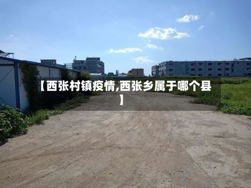 【西张村镇疫情,西张乡属于哪个县】-第3张图片