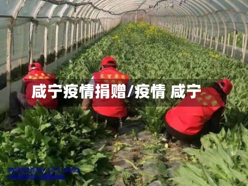咸宁疫情捐赠/疫情 咸宁-第3张图片