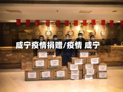 咸宁疫情捐赠/疫情 咸宁