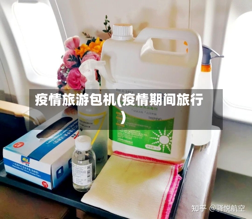 疫情旅游包机(疫情期间旅行)-第3张图片
