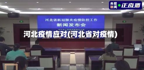 河北疫情应对(河北省对疫情)-第2张图片