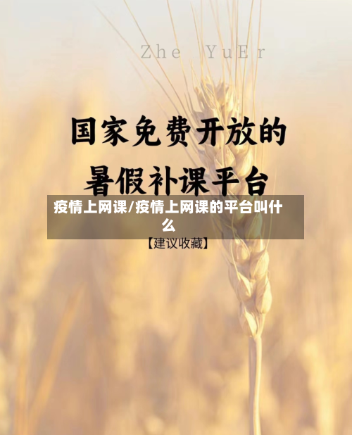 疫情上网课/疫情上网课的平台叫什么