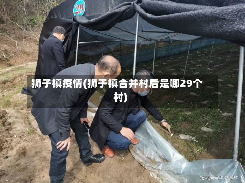 狮子镇疫情(狮子镇合并村后是哪29个村)-第2张图片