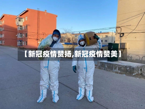 【新冠疫情赞扬,新冠疫情赞美】-第2张图片