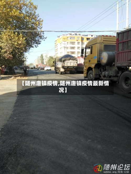 【随州唐镇疫情,随州唐镇疫情最新情况】-第3张图片