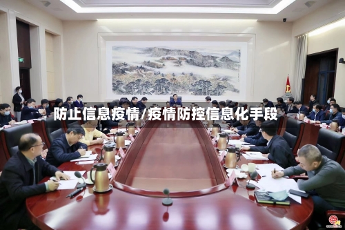 防止信息疫情/疫情防控信息化手段