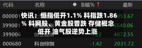 快讯：恒指低开1.1% 科指跌1.86% 科网股、黄金股普跌 存储概念低开 油气股逆势上涨-第2张图片