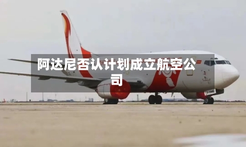 阿达尼否认计划成立航空公司-第2张图片