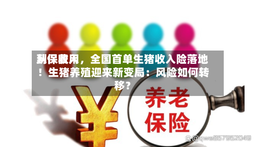 从保费用到保收入，全国首单生猪收入险落地！生猪养殖迎来新变局：风险如何转移？
