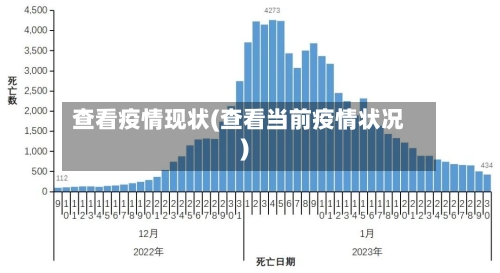 查看疫情现状(查看当前疫情状况)