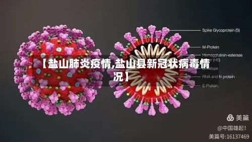 【盐山肺炎疫情,盐山县新冠状病毒情况】