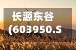长源东谷(603950.SH)：拟1.5亿元至3亿元回购公司股份
