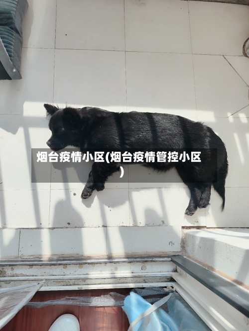 烟台疫情小区(烟台疫情管控小区)-第2张图片
