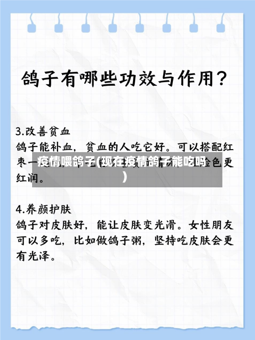 疫情喂鸽子(现在疫情鸽子能吃吗)