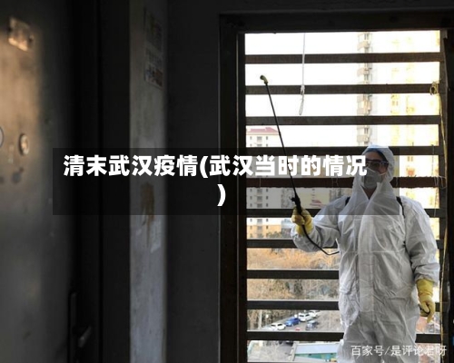 清末武汉疫情(武汉当时的情况)