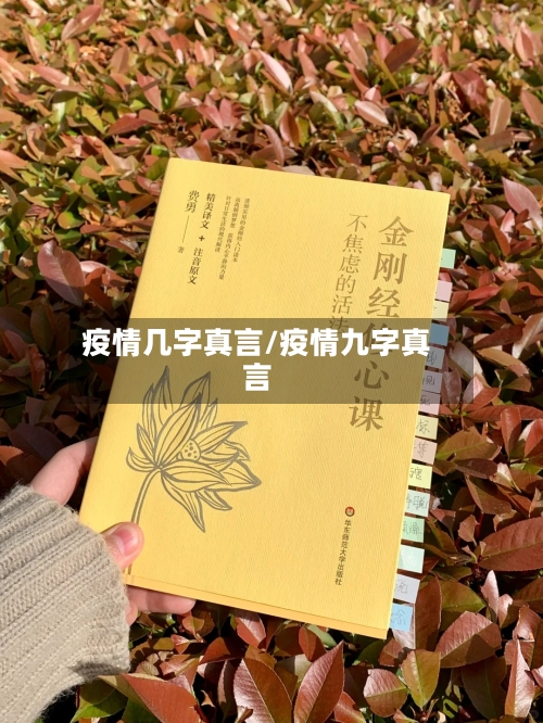 疫情几字真言/疫情九字真言