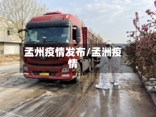 孟州疫情发布/孟洲疫情-第2张图片