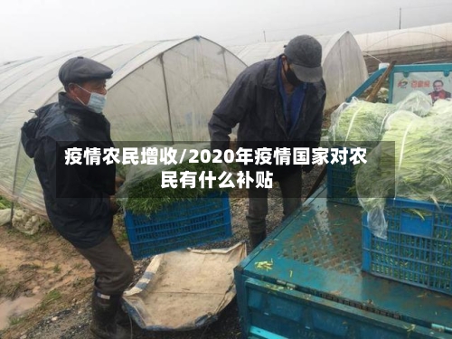 疫情农民增收/2020年疫情国家对农民有什么补贴