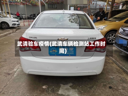 武清验车疫情(武清车辆检测站工作时间)-第3张图片
