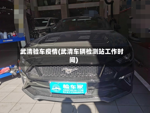 武清验车疫情(武清车辆检测站工作时间)