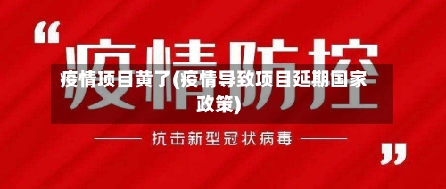 疫情项目黄了(疫情导致项目延期国家政策)