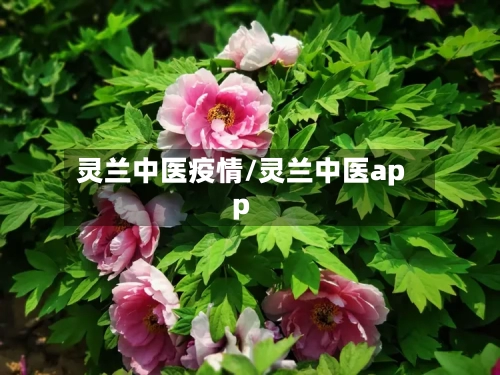 灵兰中医疫情/灵兰中医app-第2张图片