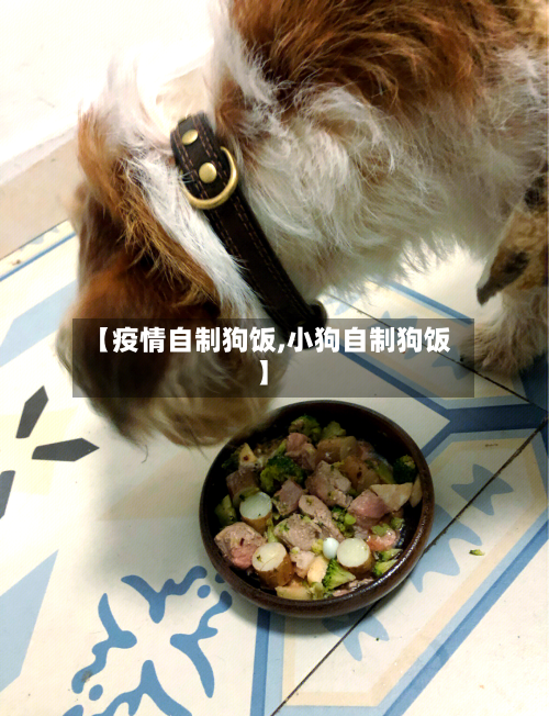 【疫情自制狗饭,小狗自制狗饭】