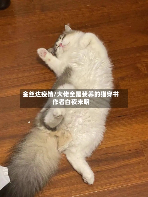金丝达疫情/大佬全是我养的猫穿书作者白夜未明