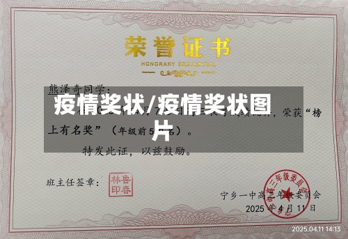 疫情奖状/疫情奖状图片