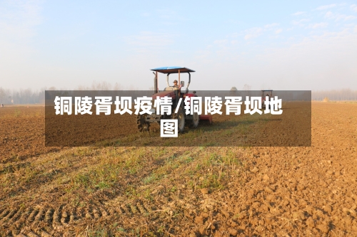 铜陵胥坝疫情/铜陵胥坝地图