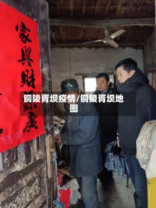 铜陵胥坝疫情/铜陵胥坝地图-第2张图片