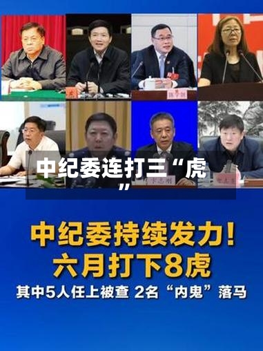 中纪委连打三“虎”-第3张图片