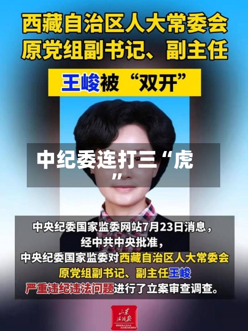 中纪委连打三“虎”