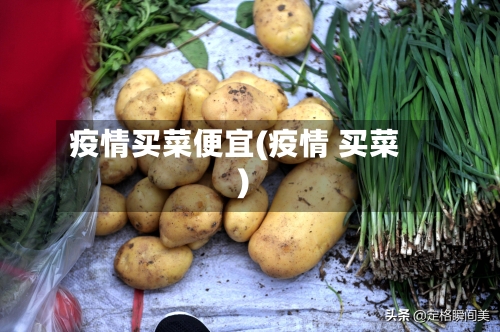 疫情买菜便宜(疫情 买菜)