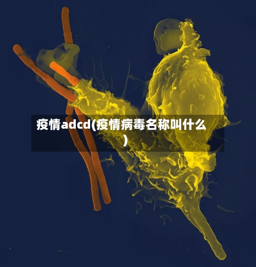 疫情adcd(疫情病毒名称叫什么)
