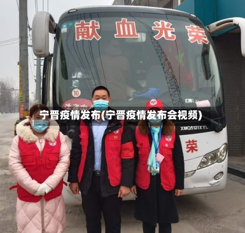 宁晋疫情发布(宁晋疫情发布会视频)-第2张图片