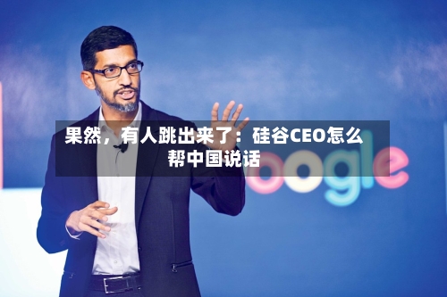 果然，有人跳出来了：硅谷CEO怎么帮中国说话