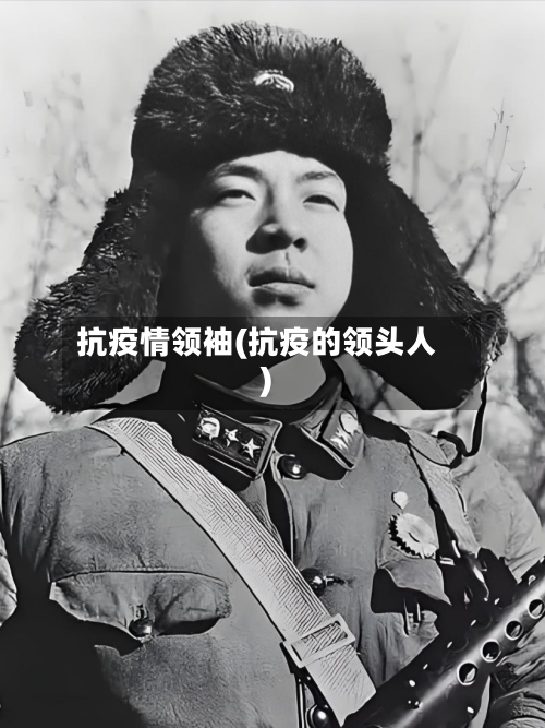 抗疫情领袖(抗疫的领头人)-第2张图片
