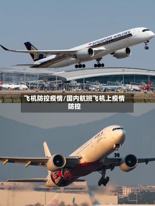 飞机防控疫情/国内航班飞机上疫情防控