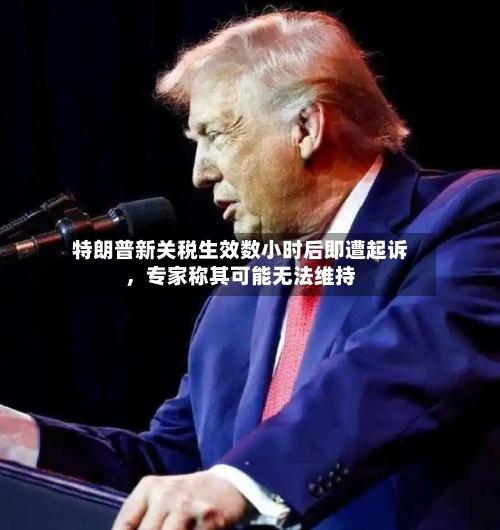 特朗普新关税生效数小时后即遭起诉，专家称其可能无法维持-第2张图片