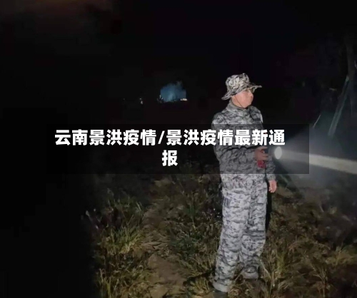 云南景洪疫情/景洪疫情最新通报-第2张图片