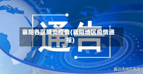 襄阳各区肺炎疫情(襄阳地区疫情通报)