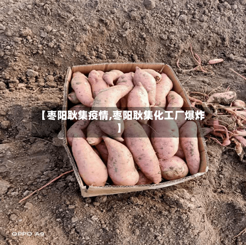【枣阳耿集疫情,枣阳耿集化工厂爆炸】-第2张图片