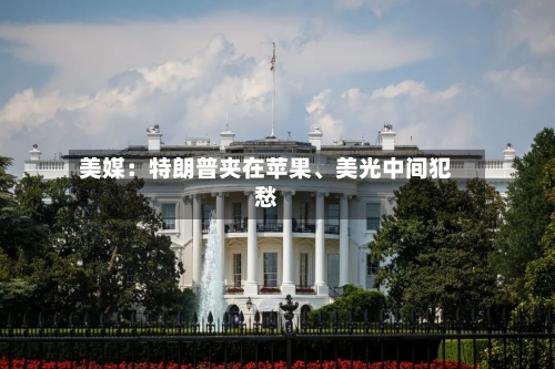 美媒：特朗普夹在苹果、美光中间犯愁