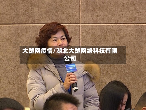 大楚网疫情/湖北大楚网络科技有限公司