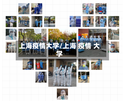 上海疫情大学/上海 疫情 大学-第2张图片