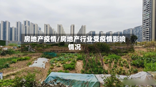 房地产疫情/房地产行业受疫情影响情况