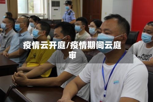 疫情云开庭/疫情期间云庭审