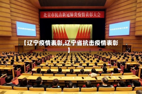 【辽宁疫情表彰,辽宁省抗击疫情表彰】