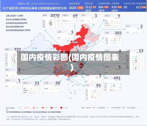 国内疫情彩图(国内疫情图表)